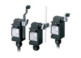 Position Switches Series 8070(zone 1,2,21,22)