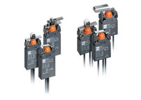 Micro Limit Switch Series 8064(zone 1,2,21,22)